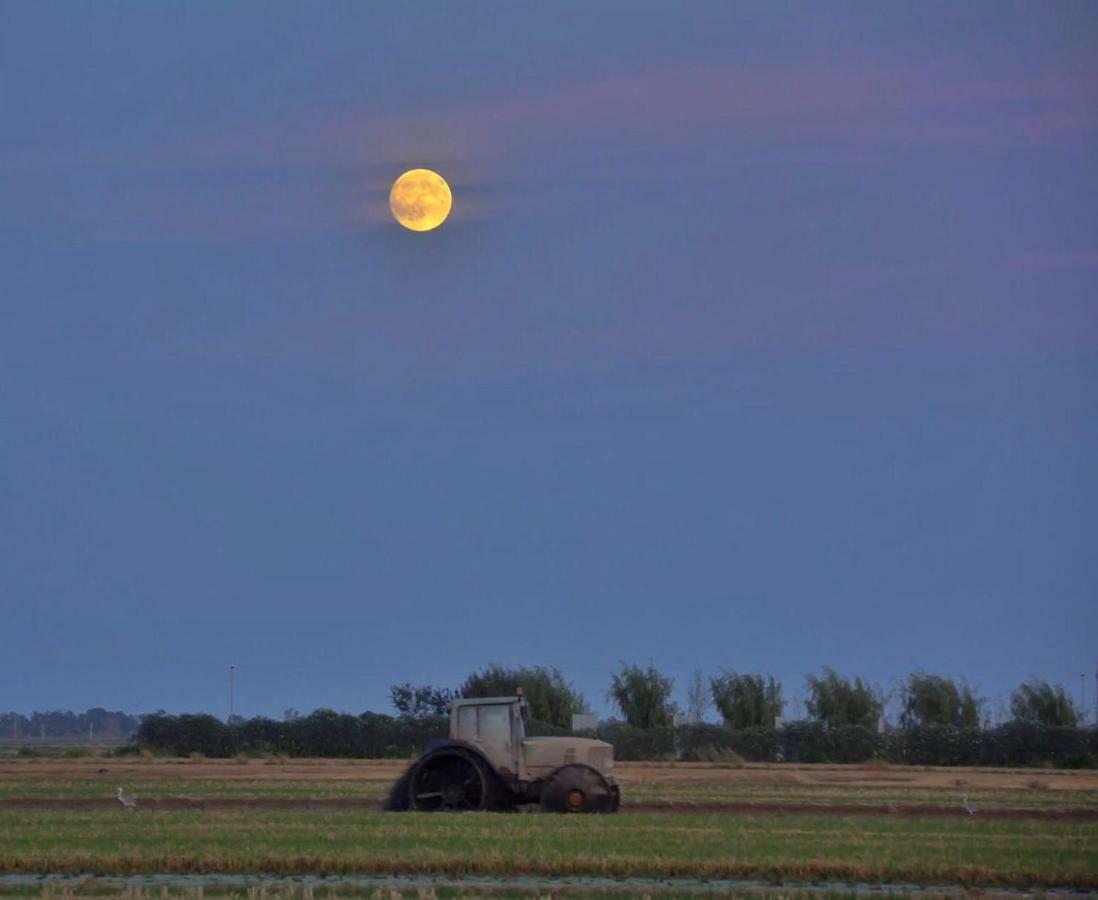 L' Espiga - Casa Rural Deltebre Εξωτερικό φωτογραφία